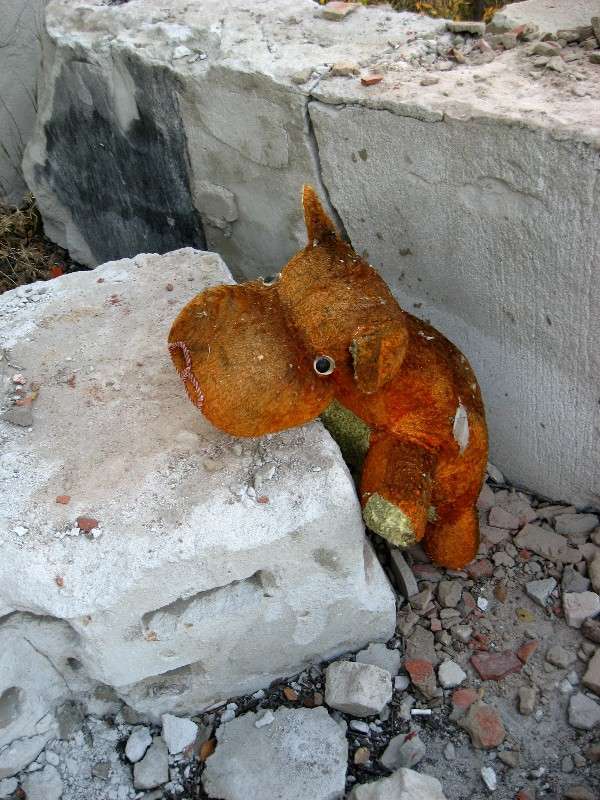 ���������... ����� Natali  ��������� �� PhotoGeek.ru #�������� ���������� #���������������