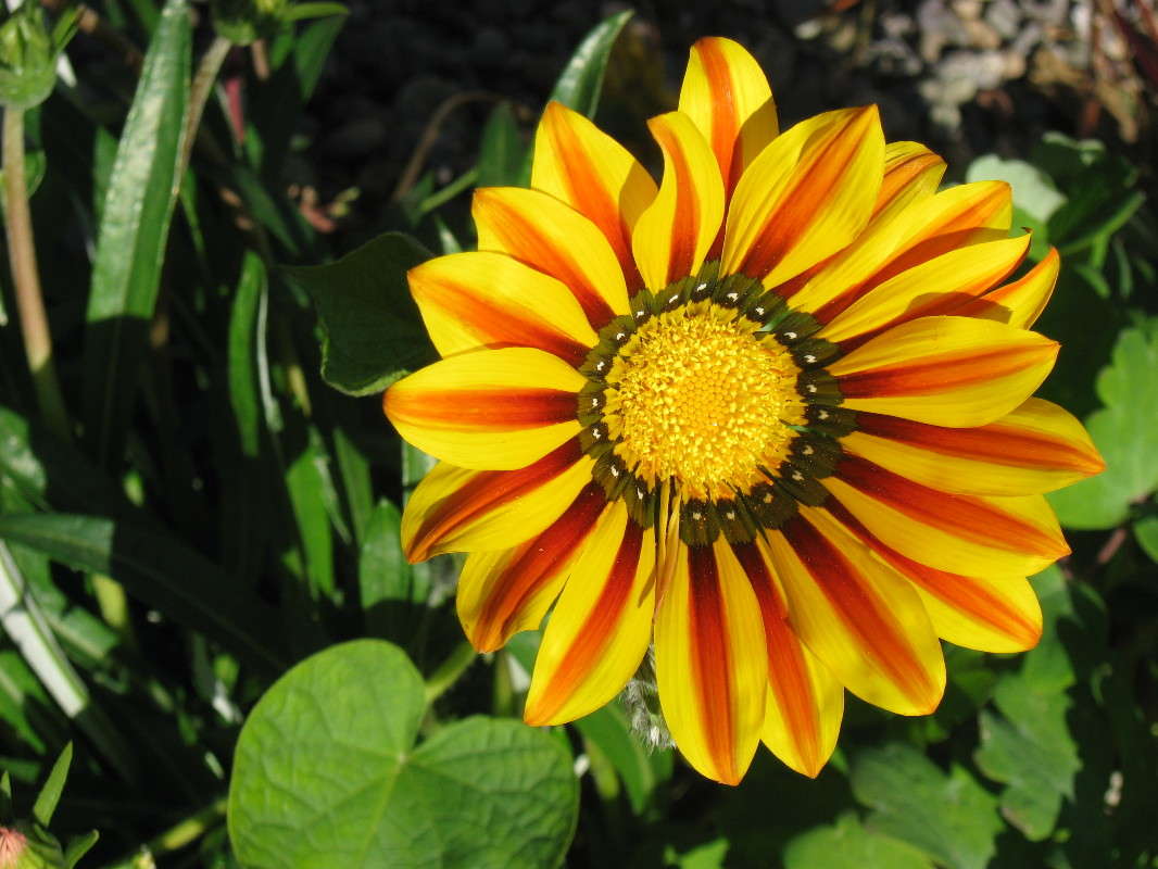 ... ����� Natali  ��������� �� PhotoGeek.ru #������ ��� ������� #����� ��������������