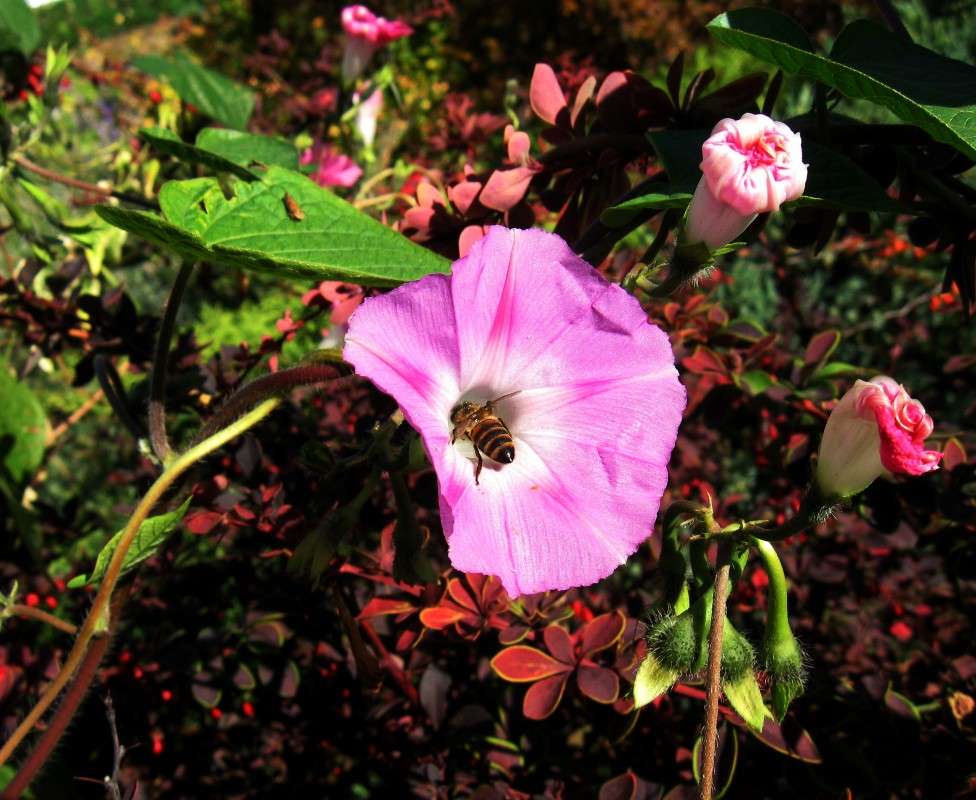 ... ����� Natali  ��������� �� PhotoGeek.ru #�������� ��� #������ ��� ������� #����� ��������������