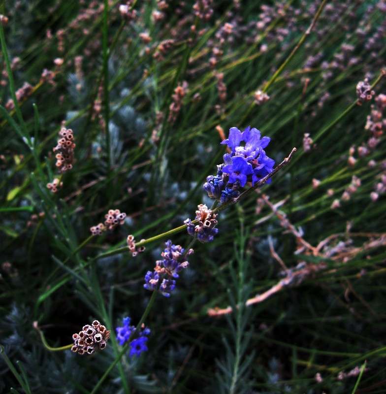 ���������, ��������... ����� Natali  ��������� �� PhotoGeek.ru #������ ��� ������� #����� ��������������