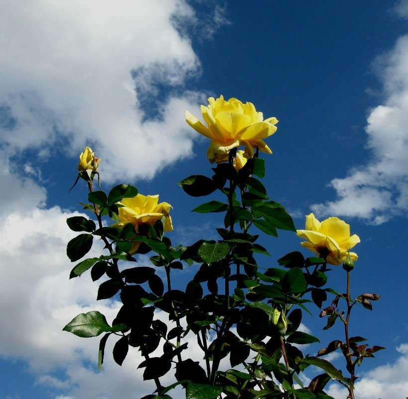 ... ����� Natali  ��������� �� PhotoGeek.ru #������ ��� ������� #����� ��������������