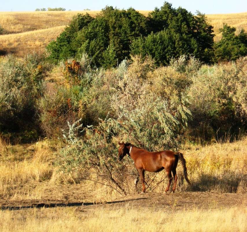 � ���������� ��������...) ����� Natali  ��������� �� PhotoGeek.ru #�������� ��� #������ ��� �������