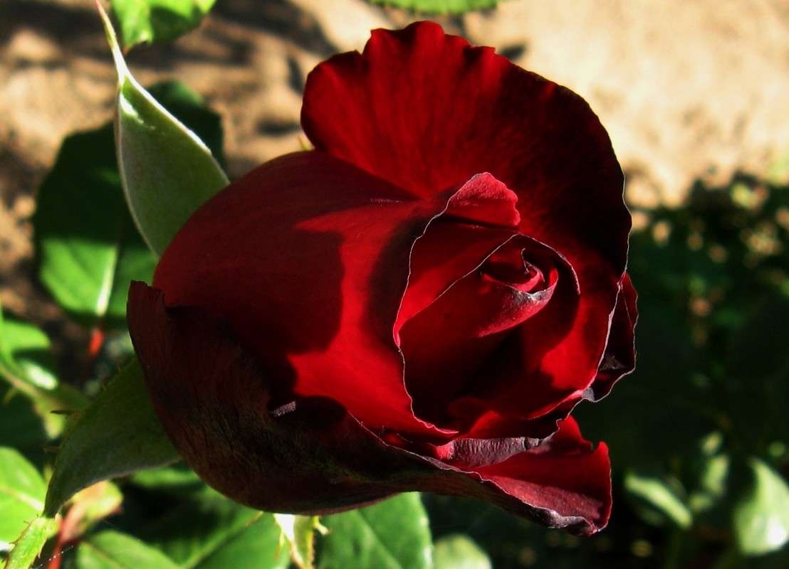 ������� �����...))) ����� Natali  ��������� �� PhotoGeek.ru #������ ��� ������� #����� ��������������