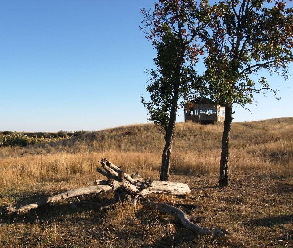 ������� ��� ��������... ))) ����� Natali  ��������� �� PhotoGeek.ru #������ ��� ������� #����� �������������� #����� ��������