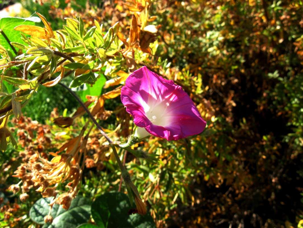 �� �������� ����� Natali  ��������� �� PhotoGeek.ru #������ ��� ������� #����� ��������������