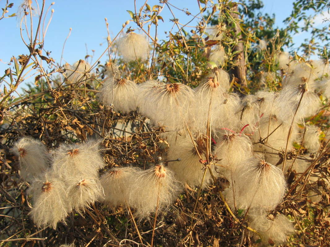 � ����������...) ����� Natali  ��������� �� PhotoGeek.ru #������ ��� ������� #����� ��������������