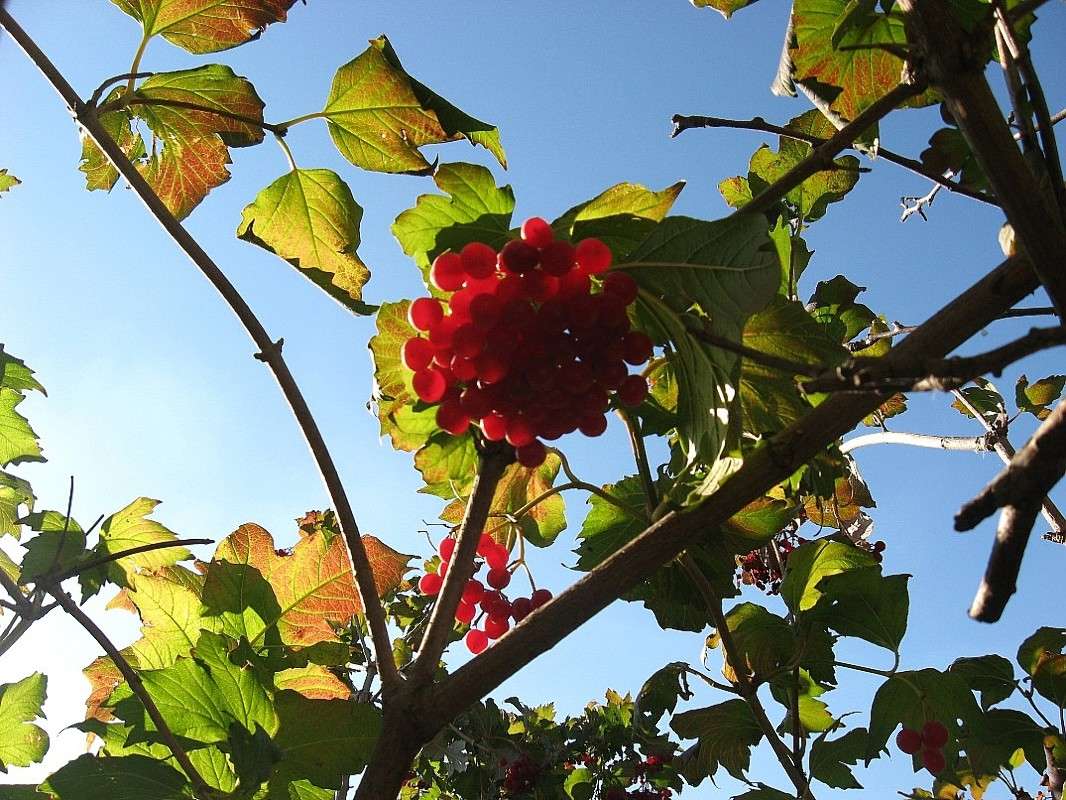 ������� �������� ����� Natali  ��������� �� PhotoGeek.ru #������ ��� ������� #����� ��������������