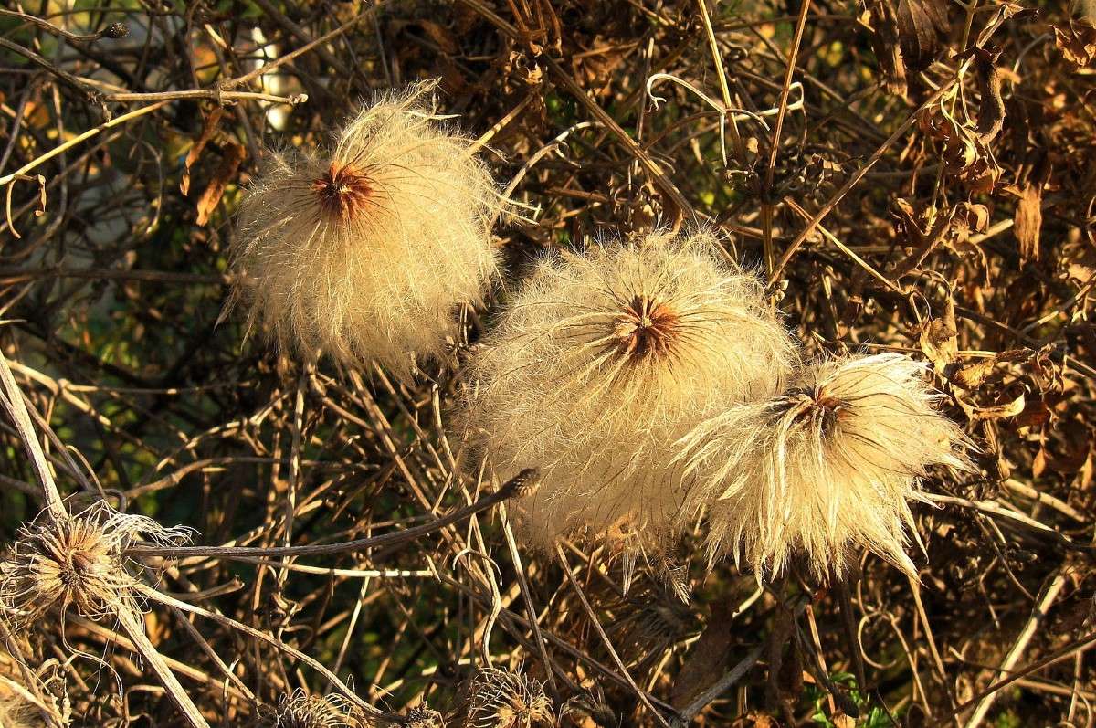 ���������...))) ����� Natali  ��������� �� PhotoGeek.ru #������ ��� ������� #����� ��������������