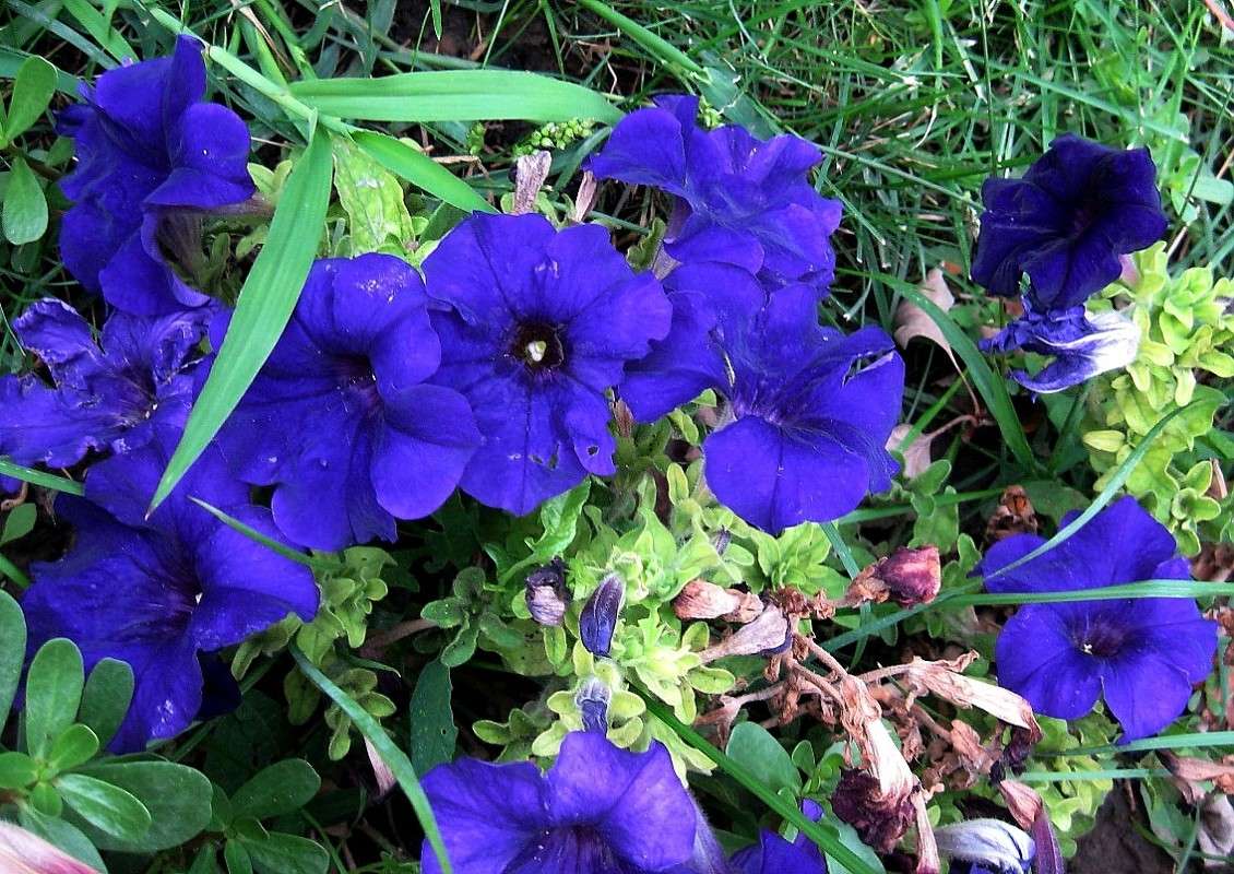 ����...))) ����� Natali  ��������� �� PhotoGeek.ru #������ ��� ������� #����� ��������������