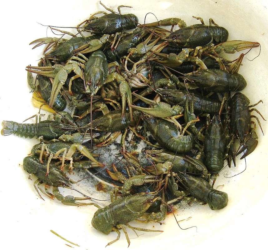 ... ����� Natali  ��������� �� PhotoGeek.ru #�������� ��� #�������� ����������