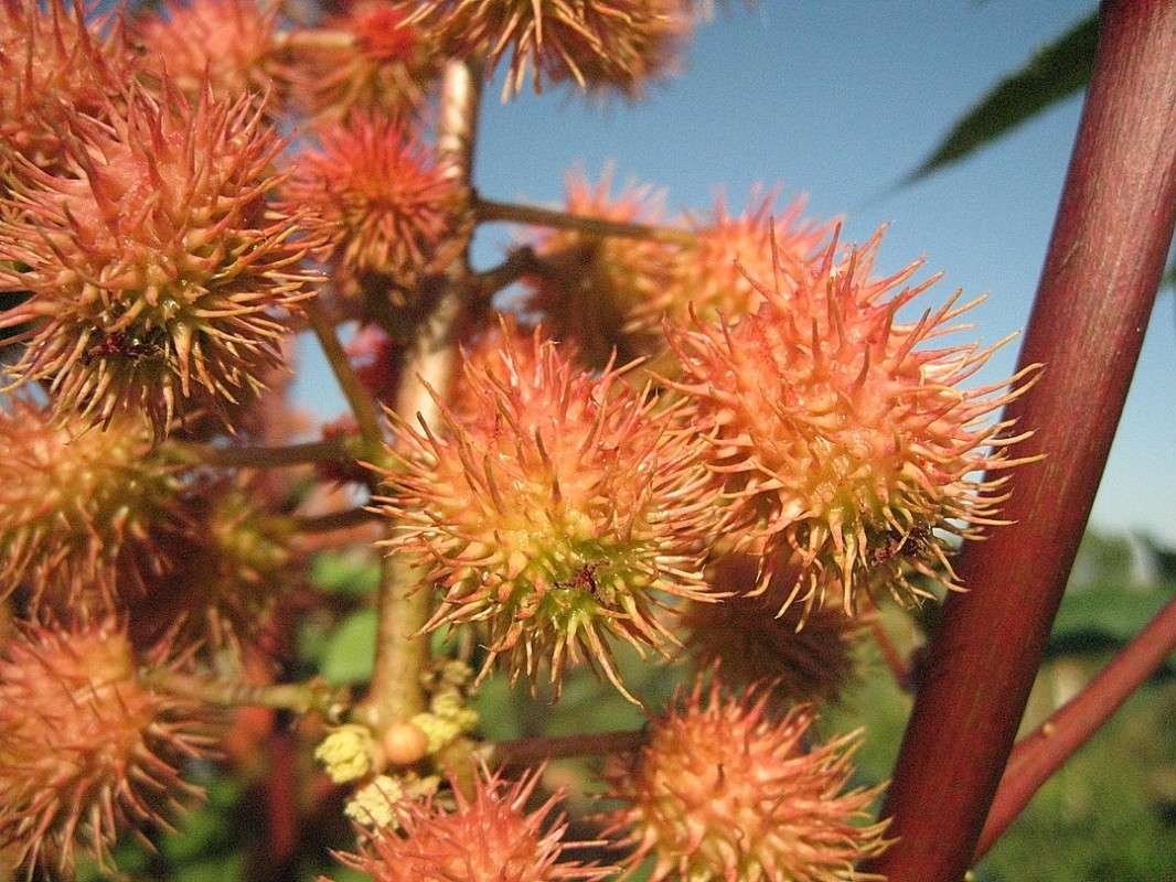 � �������... ����� Natali  ��������� �� PhotoGeek.ru #������ ��� ������� #����� ��������������