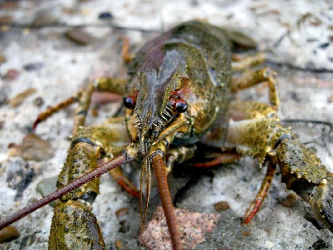 ������� �� ������ ...�� � �����...( ����� Natali  ��������� �� PhotoGeek.ru #�������� ��� #�������� ���������� #���������������