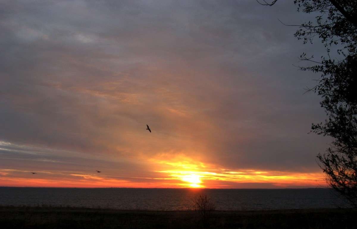 ������ ����� Natali  ��������� �� PhotoGeek.ru #������ ��� �������