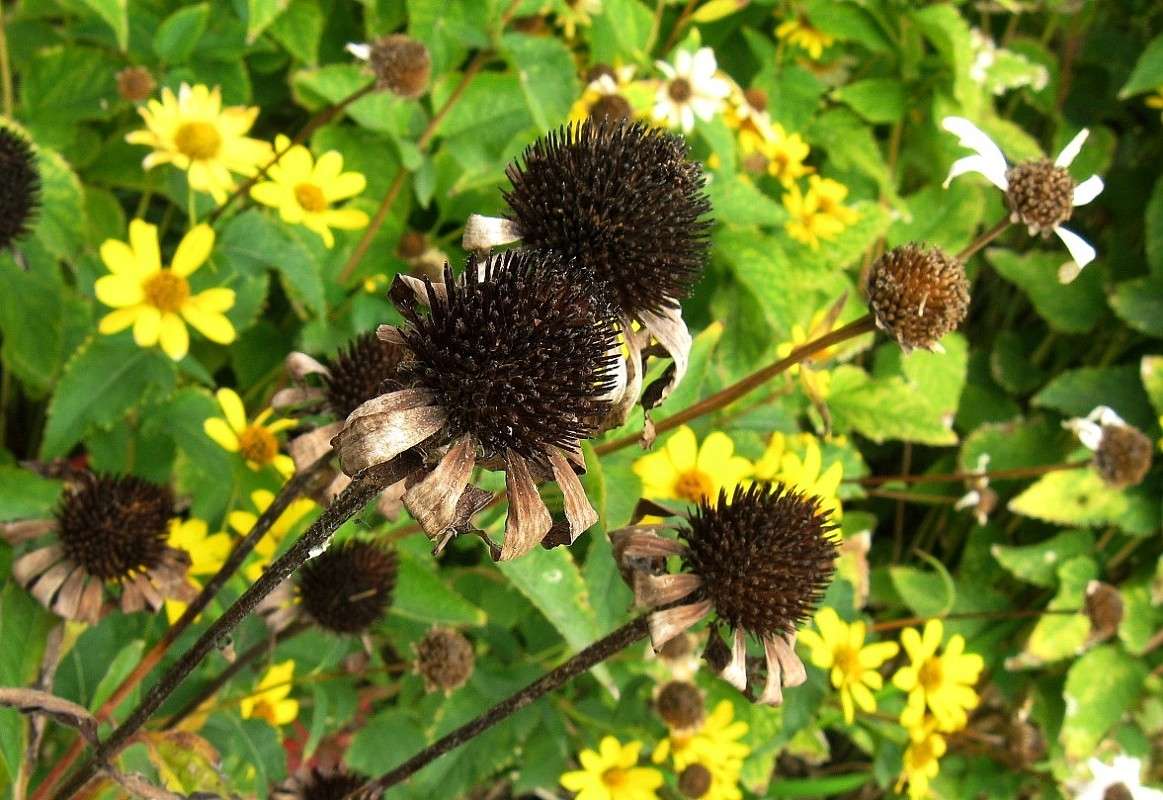 ... ����� Natali  ��������� �� PhotoGeek.ru #������ ��� ������� #����� ��������������