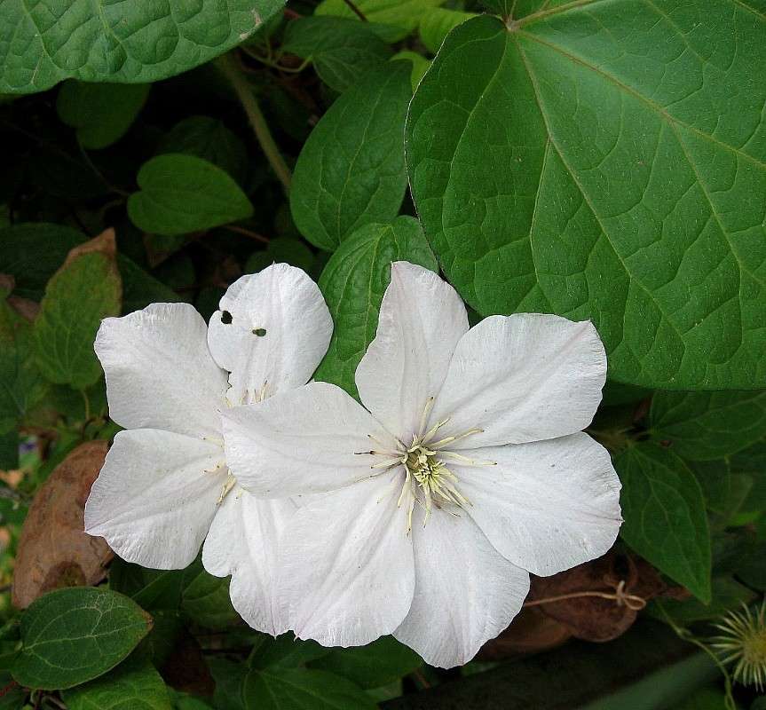 �������� ����� Natali  ��������� �� PhotoGeek.ru #������ ��� ������� #����� ��������������