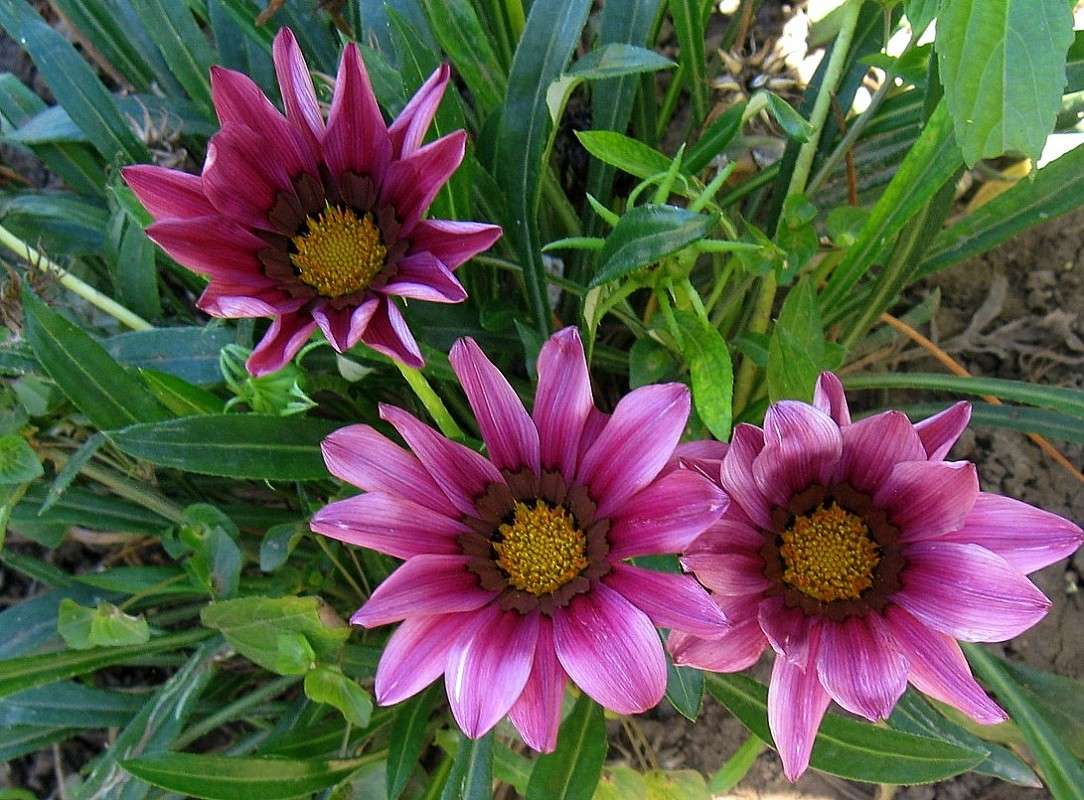 ... ����� Natali  ��������� �� PhotoGeek.ru #������ ��� ������� #����� ��������������