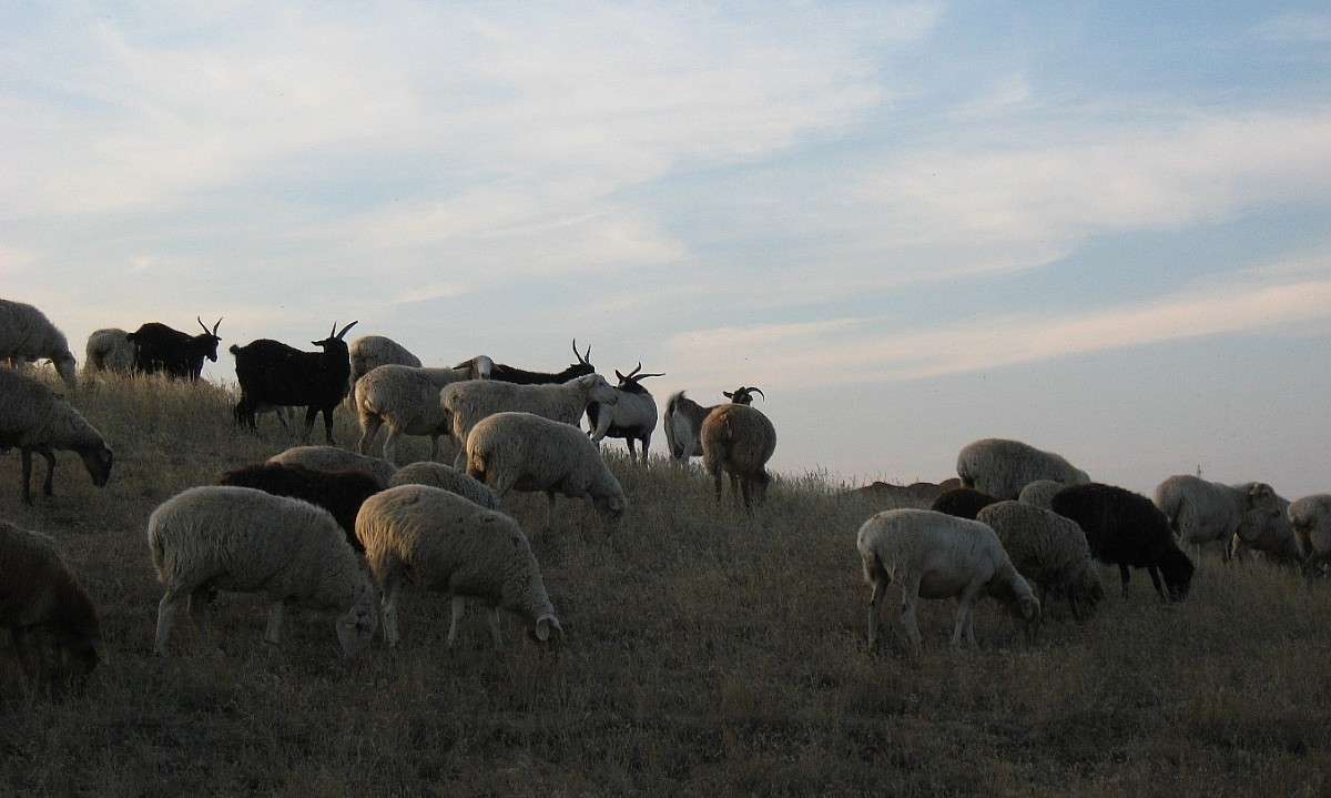 ����� 3 ����� Natali  ��������� �� PhotoGeek.ru