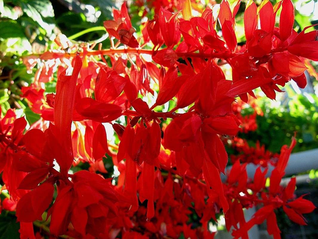 ... ����� Natali  ��������� �� PhotoGeek.ru #������ ��� ������� #����� ��������������