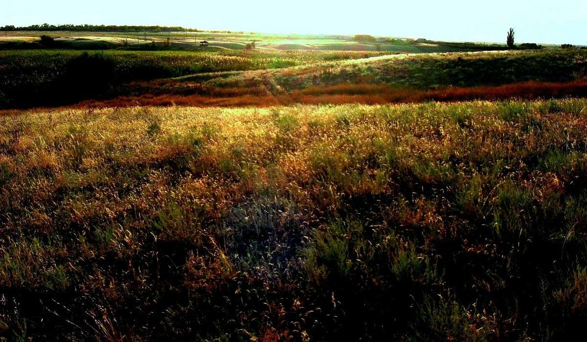 �������� ������...) ����� Natali  ��������� �� PhotoGeek.ru #������ ��� �������