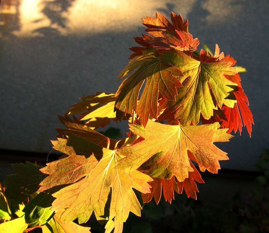 ������� ������ ����� Natali  ��������� �� PhotoGeek.ru #������ ��� ������� #����� ��������������