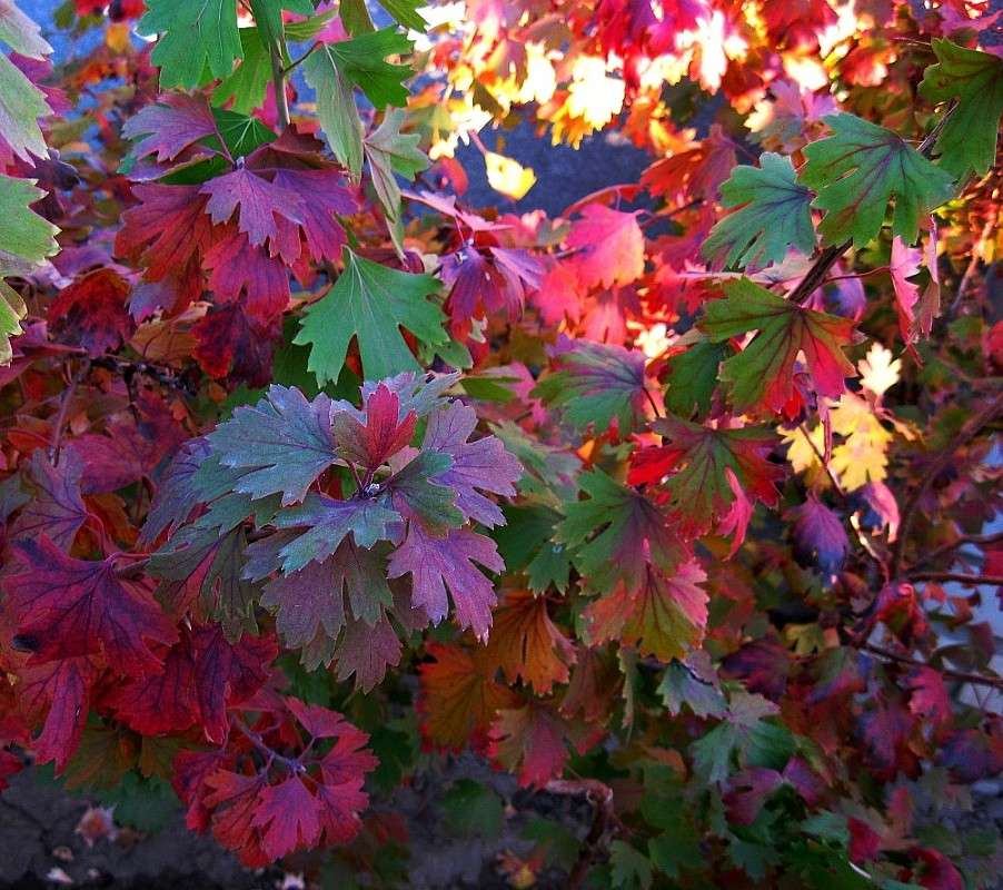 ������� ������...2 ����� Natali  ��������� �� PhotoGeek.ru #������ ��� ������� #����� ��������������