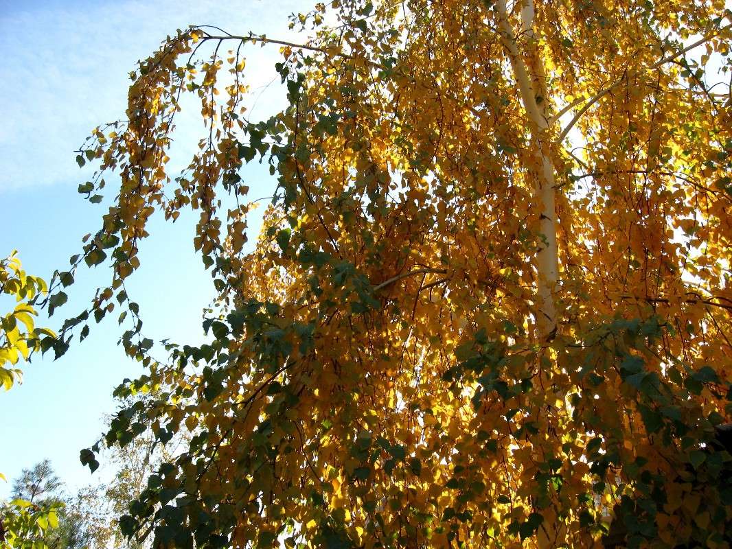 ������� ������...3 ����� Natali  ��������� �� PhotoGeek.ru #������ ��� ������� #����� ��������������