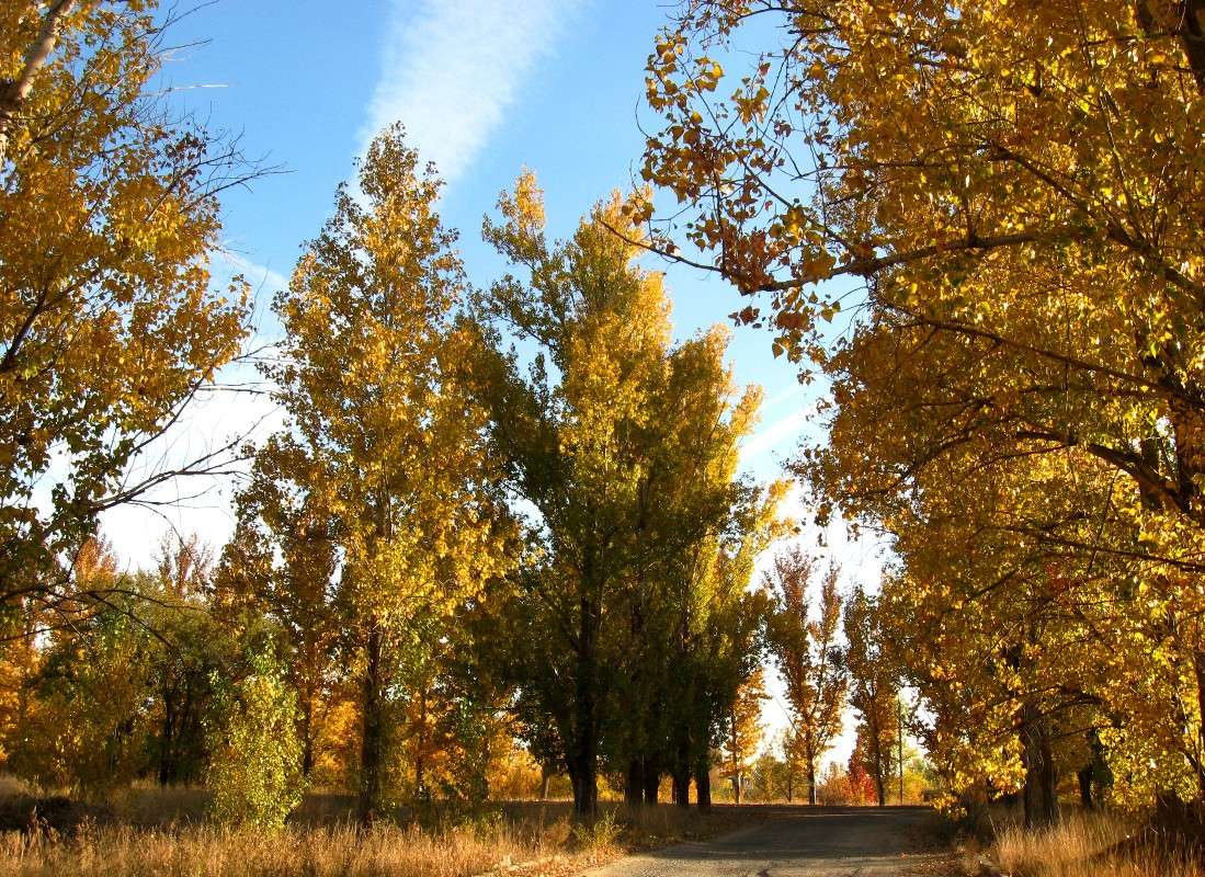 ������� ������...2 ����� Natali  ��������� �� PhotoGeek.ru #������ ��� ������� #����� ��������������