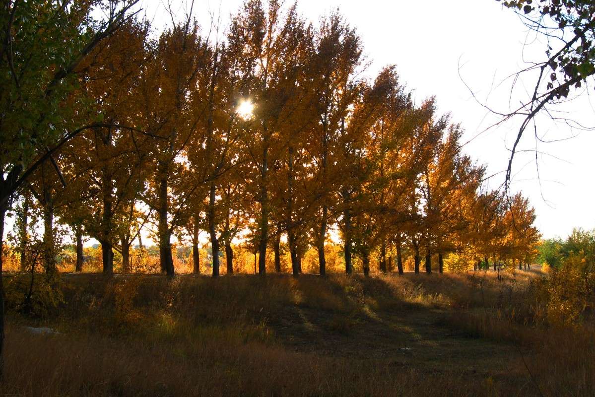 ������� ������ ����� Natali  ��������� �� PhotoGeek.ru #������ ��� ������� #����� ��������������