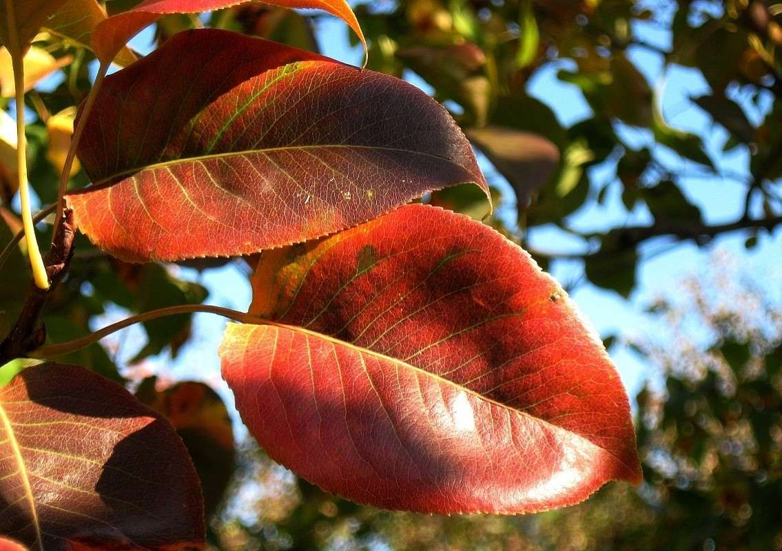 ������� ������...3 ����� Natali  ��������� �� PhotoGeek.ru #������ ��� ������� #����� ��������������