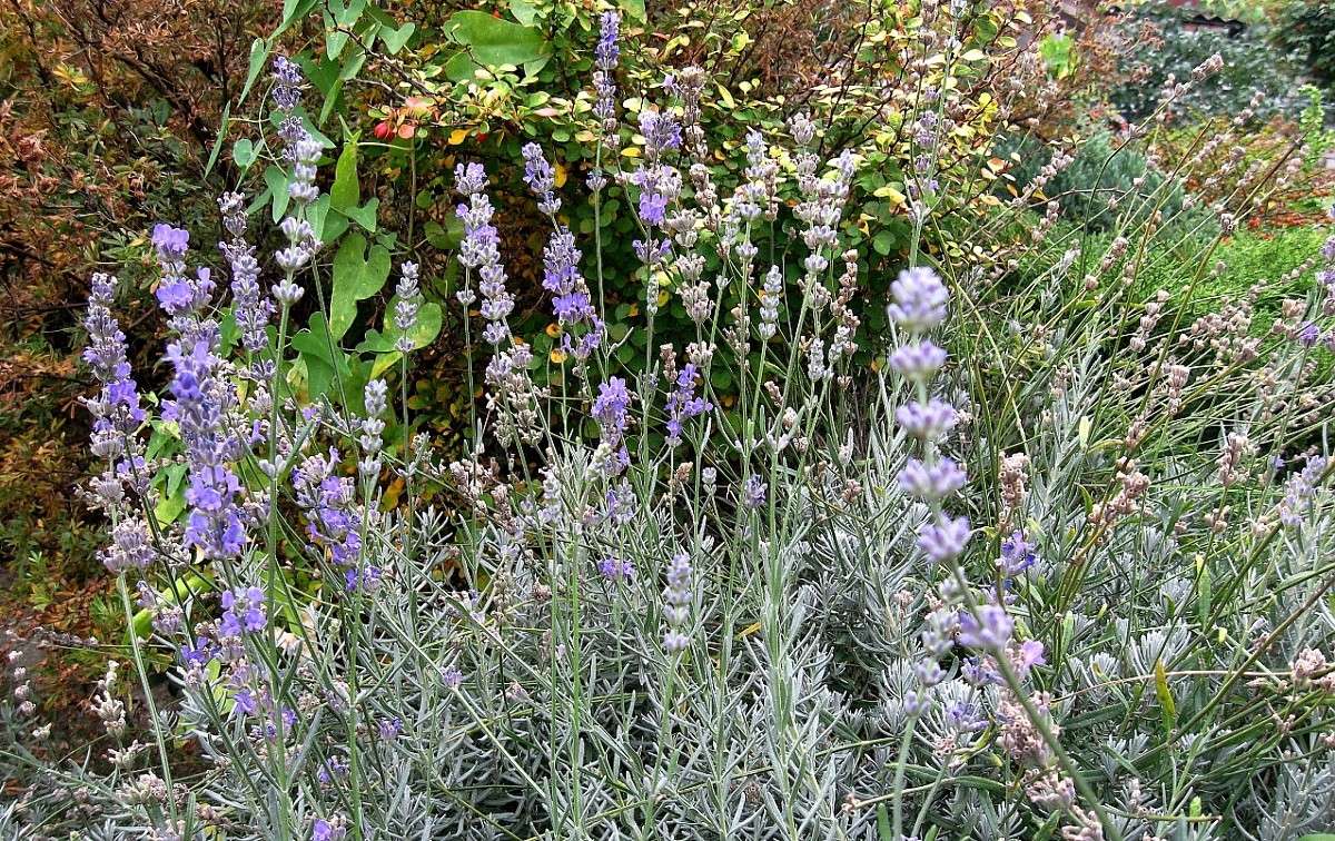 ����� ����������...) ����� Natali  ��������� �� PhotoGeek.ru #������ ��� ������� #����� ��������������