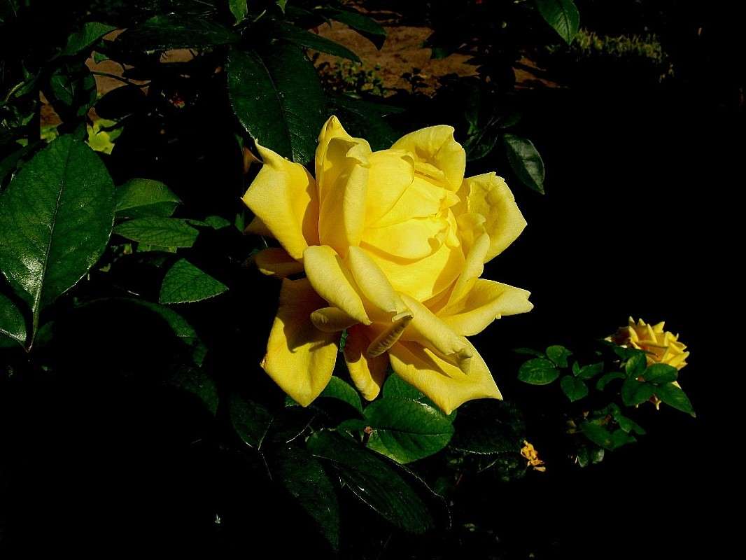 ���� �� ��������...) ����� Natali  ��������� �� PhotoGeek.ru #������ ��� ������� #����� ��������������