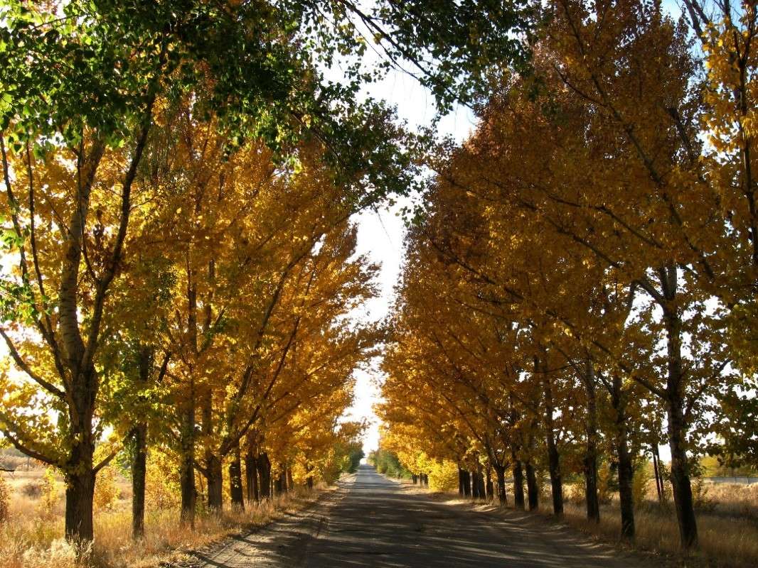 ������� ������ ...3 ����� Natali  ��������� �� PhotoGeek.ru #������ ��� ������� #����� ��������������