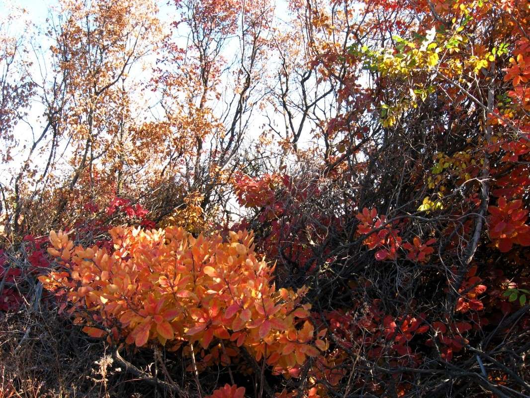 ������� �������...))) ����� Natali  ��������� �� PhotoGeek.ru #������ ��� ������� #����� ��������������