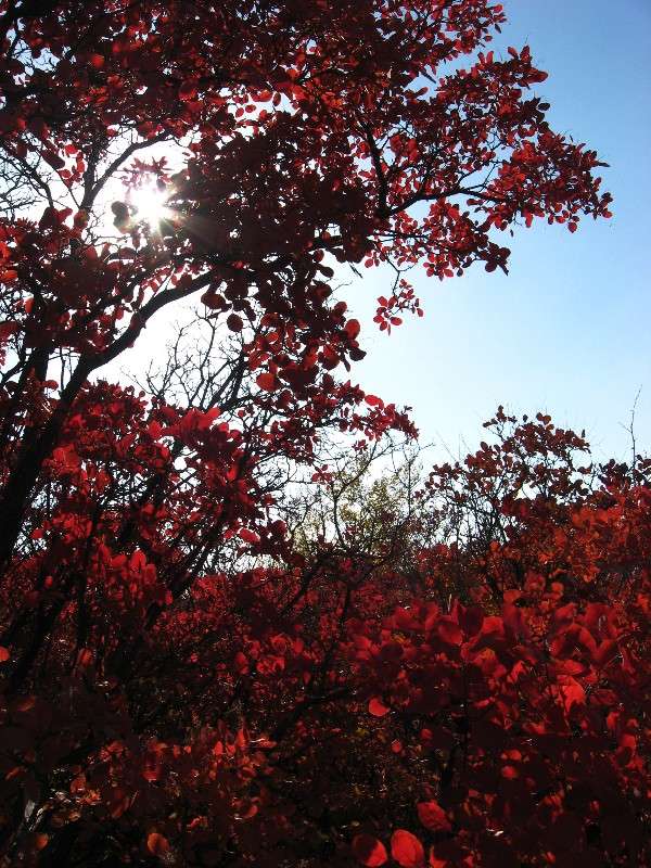 ������� �������...2 ����� Natali  ��������� �� PhotoGeek.ru #������ ��� ������� #����� ��������������