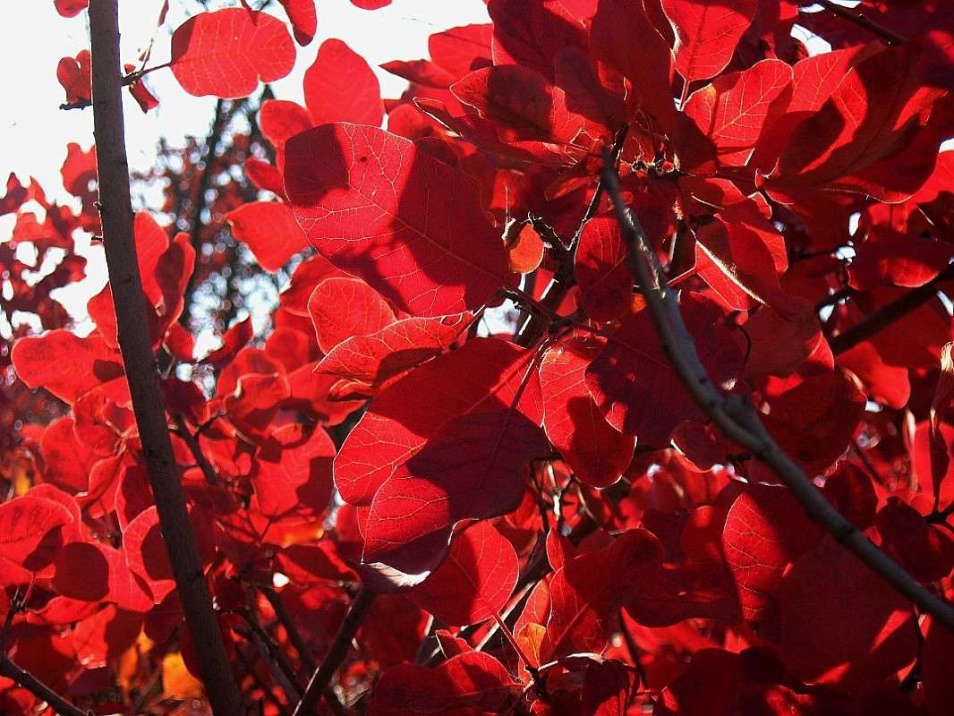 ������� �������...3 ����� Natali  ��������� �� PhotoGeek.ru #������ ��� ������� #����� ��������������