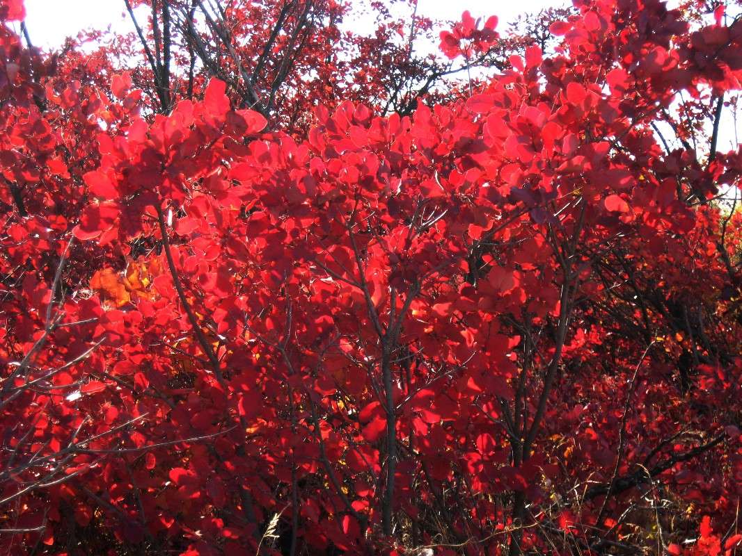 ������� �������...4 ����� Natali  ��������� �� PhotoGeek.ru #������ ��� ������� #����� ��������������