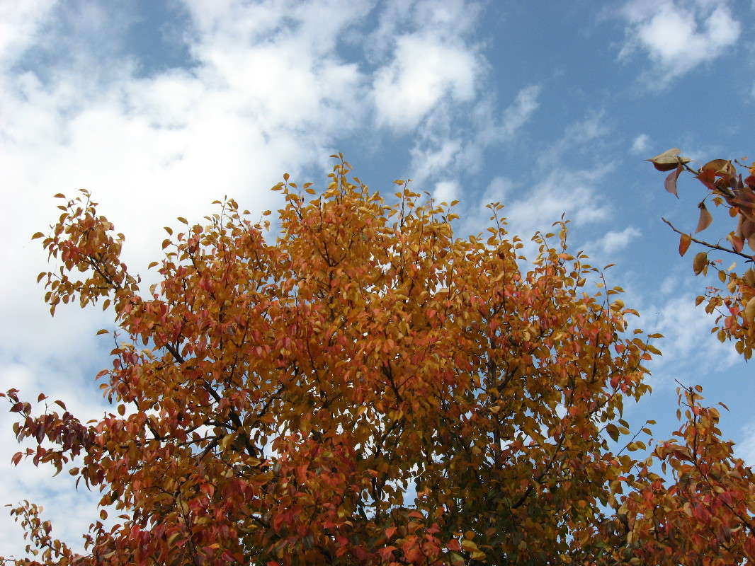 ... ����� Natali  ��������� �� PhotoGeek.ru #������ ��� ������� #����� ��������������