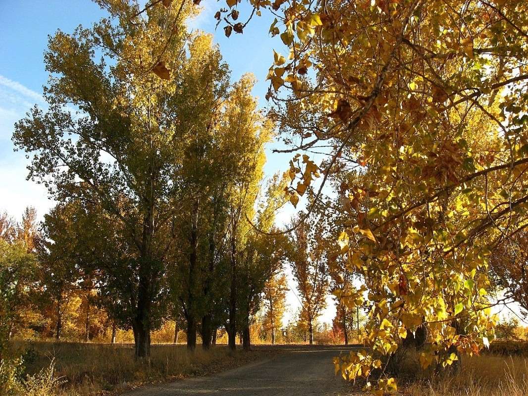 ����������� �������...) ����� Natali  ��������� �� PhotoGeek.ru #������ ��� ������� #����� ��������������