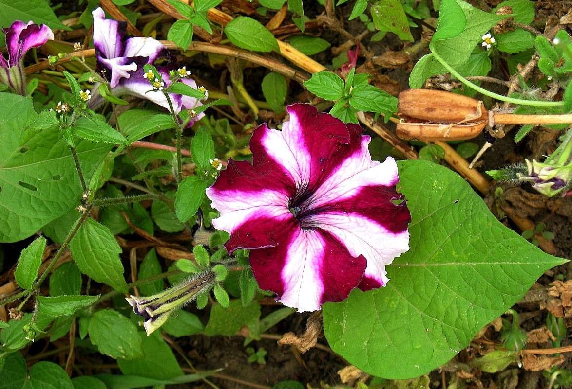 ������ �������...) ����� Natali  ��������� �� PhotoGeek.ru #������ ��� ������� #����� ��������������