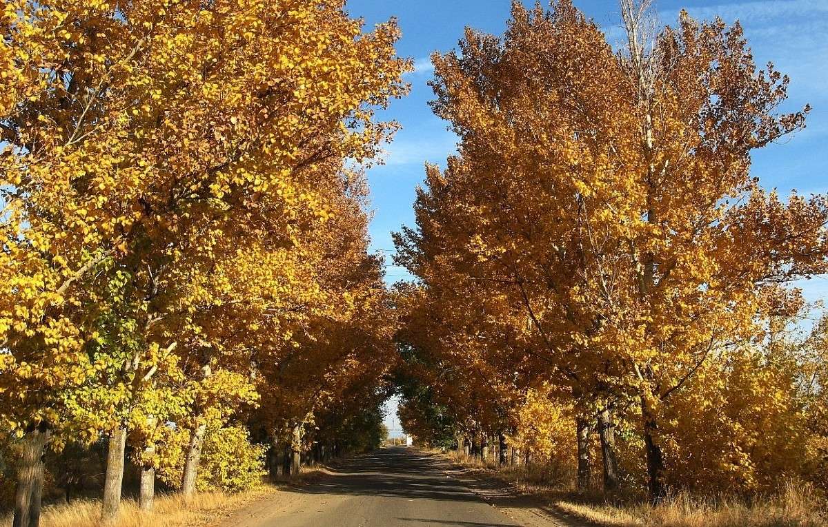 ... ����� Natali  ��������� �� PhotoGeek.ru #������ ��� ������� #����� ��������������