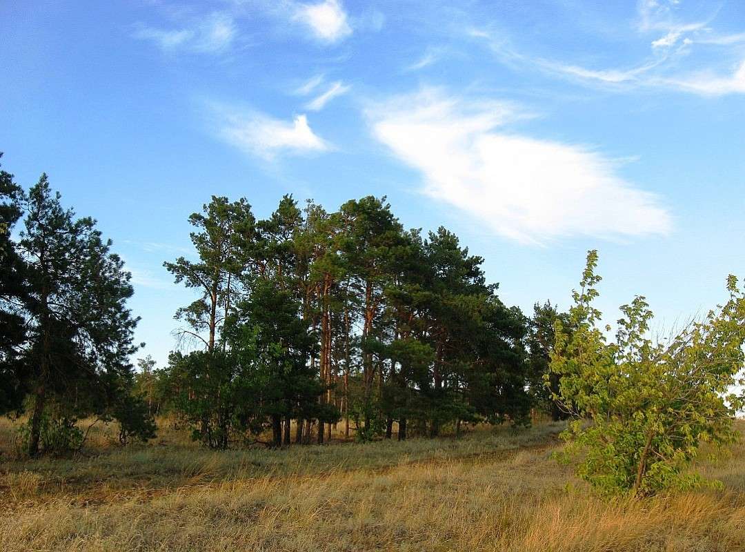 ... ����� Natali  ��������� �� PhotoGeek.ru #������ ��� ������� #����� ��������������