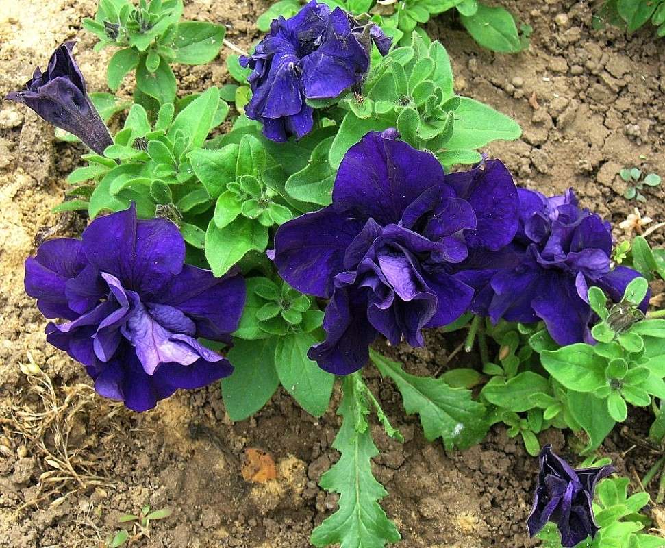 ... ����� Natali  ��������� �� PhotoGeek.ru #������ ��� ������� #����� ��������������