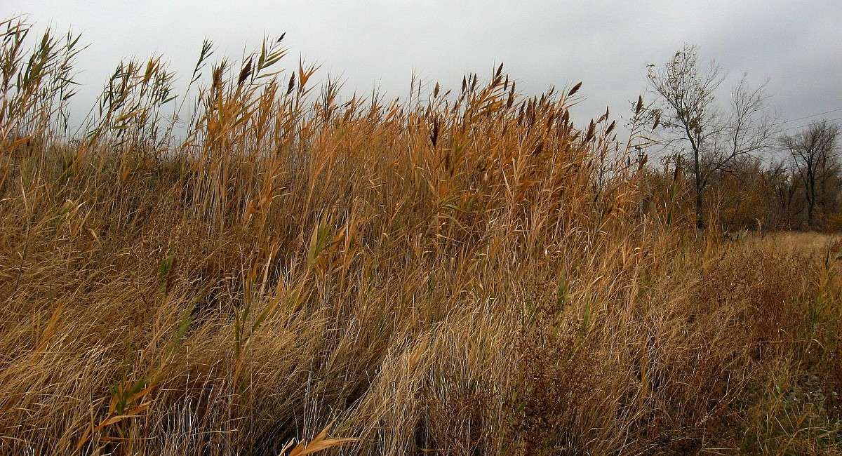 �����. ����� � �������....) ����� Natali  ��������� �� PhotoGeek.ru #������ ��� ������� #����� ��������������