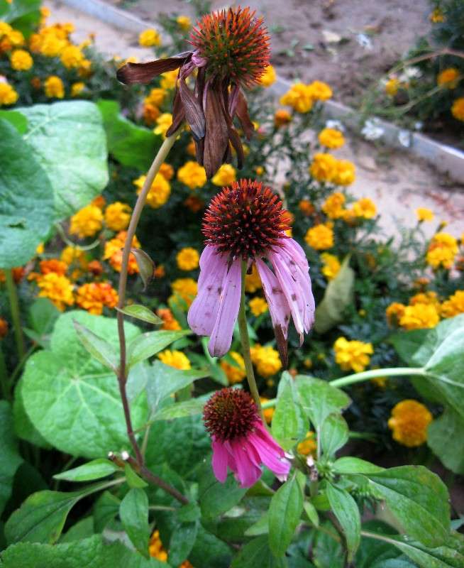 ����� ����������...3 ����� Natali  ��������� �� PhotoGeek.ru #������ ��� ������� #����� ��������������