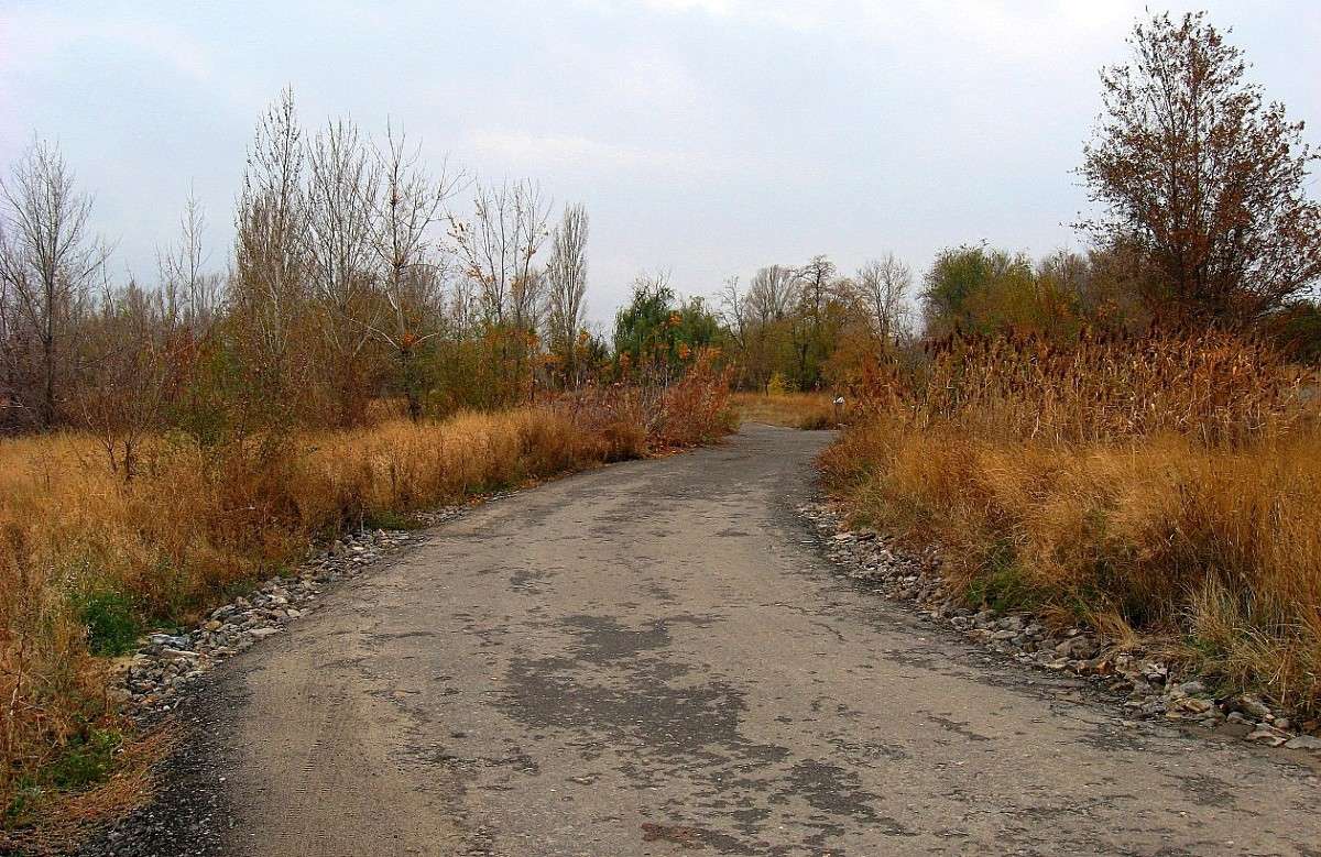 �����. ���� ���������...) ����� Natali  ��������� �� PhotoGeek.ru #������ ��� ������� #����� ��������������