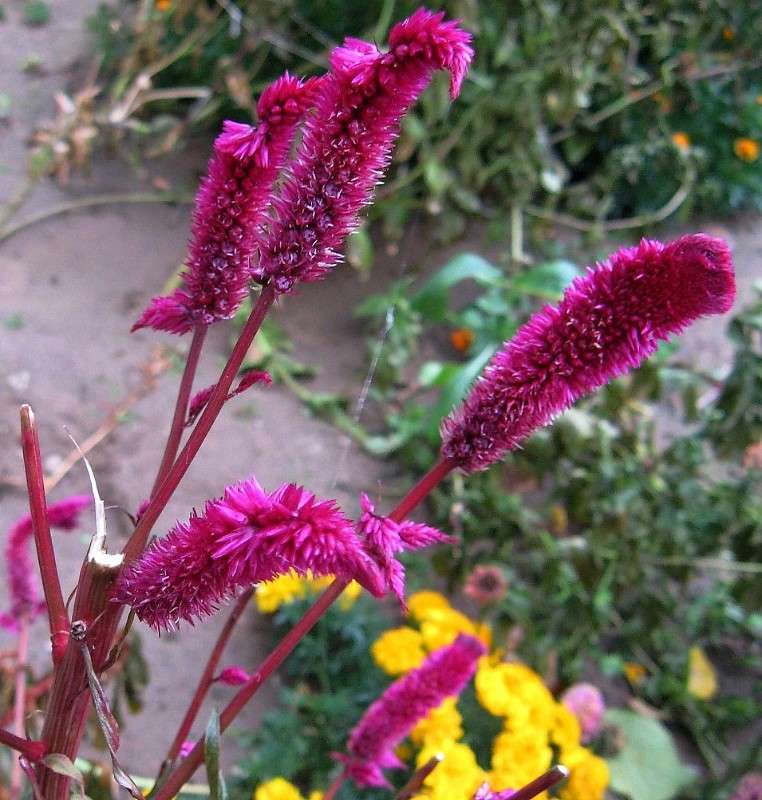 ����� ����������...2 ����� Natali  ��������� �� PhotoGeek.ru #������ ��� ������� #����� ��������������