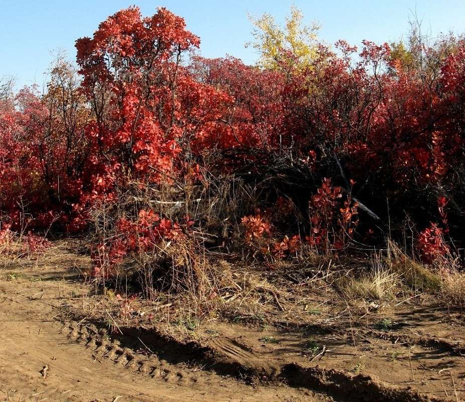 ���� �� ������� �������...))) ����� Natali  ��������� �� PhotoGeek.ru #������ ��� ������� #����� ��������������