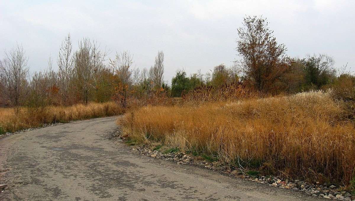 ������ � �����...))) ����� Natali  ��������� �� PhotoGeek.ru #������ ��� ������� #����� ��������������