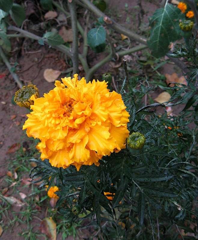 ����� �����...) ����� Natali  ��������� �� PhotoGeek.ru #����� ��������������