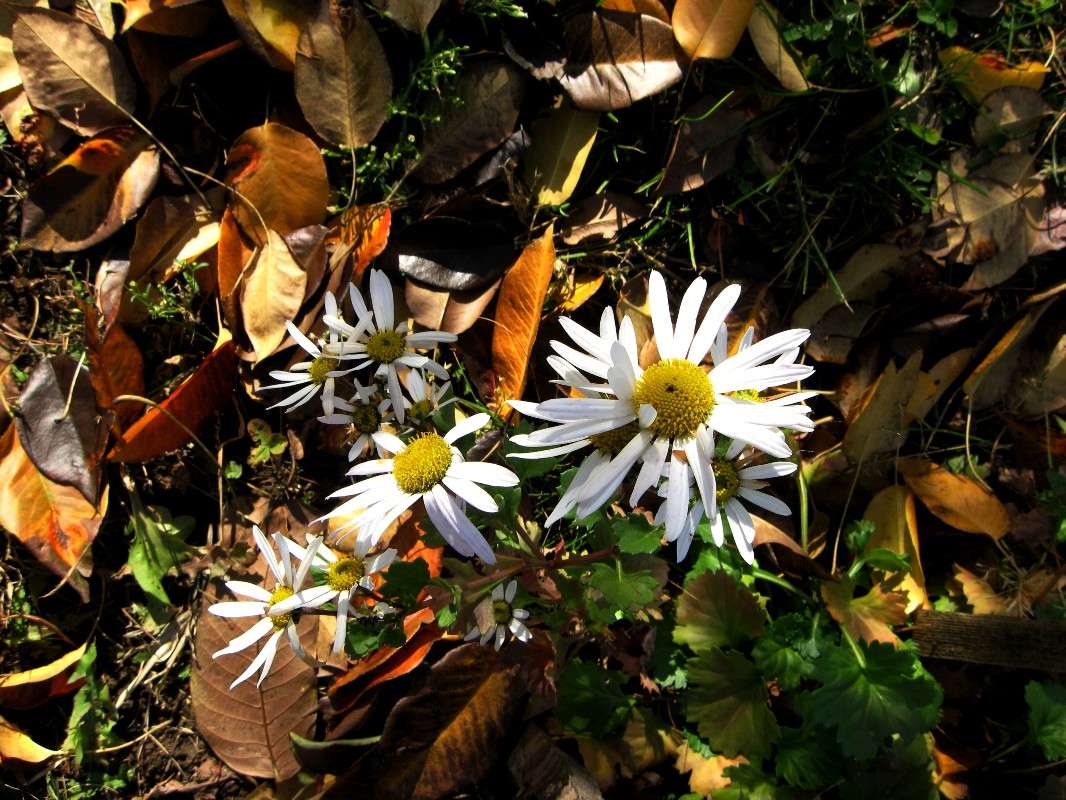 ������� ����. ����� Natali  ��������� �� PhotoGeek.ru #������ ��� ������� #����� ��������������